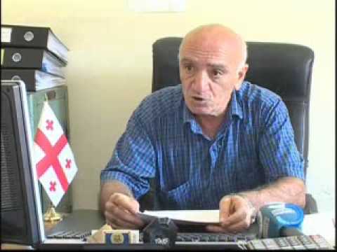 ცხოველთა დამცველები მიუსაფარი ცხოველების თავშესაფრის არსებობის აუცილებლობაზე საუბრობენ