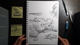 Draw some Sea- Creature References Draw some Sea- Creature References