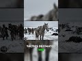 Marengo's Miracle: Surviving Napoleon's Russia