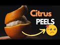 Citrus Peel Uses: Don't Throw Away Citrus Peels Away