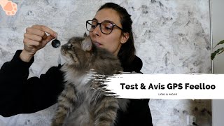 Test produit : le médaillon GPS pour chat Feelloo - Loki & Mojo