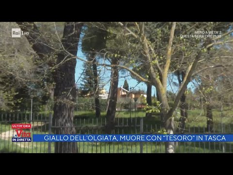 Video: Valore netto del giudice Joe Brown: Wiki, sposato, famiglia, matrimonio, stipendio, fratelli