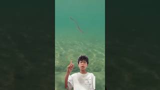 Is the drop shot one of the best lures oat? #fishing #bass#viralshort #viral