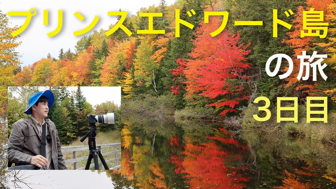 カナダ、プリンスエドワード島の旅 03 - YouTube