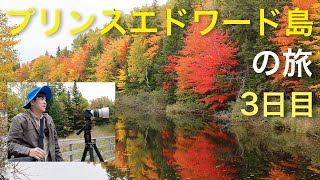 カナダ、プリンスエドワード島の旅 03 - YouTube