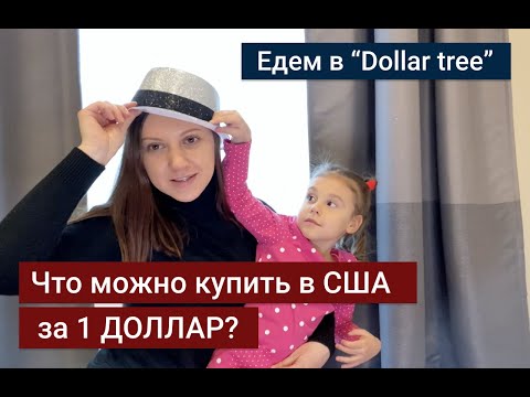 Что можно купить в АМЕРИКЕ за 1 ДОЛЛАР ? | Самый дешевый магазин в США | Dollar Tree