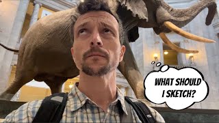 Sketching at the Smithsonian: A Mysterious Treasure Hunt