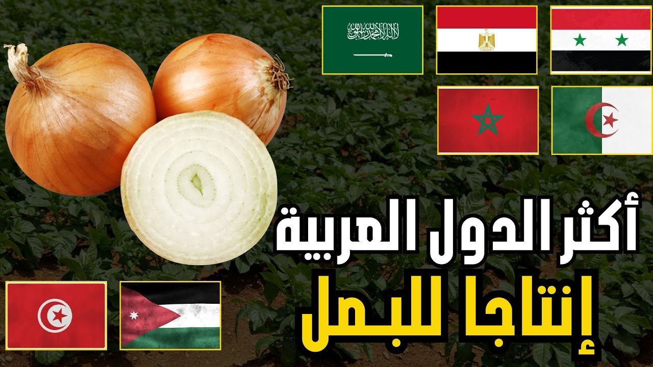 🧅 من يتصدر إنتاج البصل عرببا ؟ | ترتيب الدول العربية حسب إنتاج البصل(تقرير الفاو 2026)