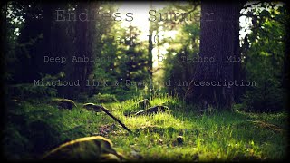 Liquid Fraction - Endless Summer - Part 10 - Deep Ambient IDM -  DuB Techno  Mix - August 15th 2021