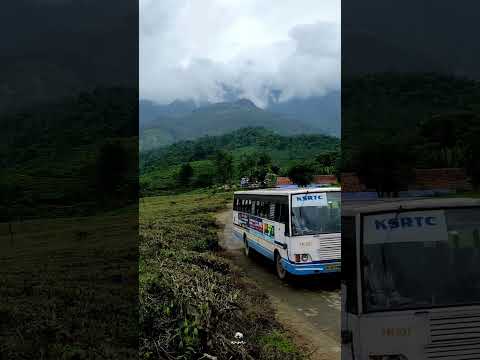 ആ മൂടൽമഞ്ഞിൽ  ആ യാത്രയിൽ  നമുക്ക് സന്തോഷം നൽകുന്നു#kerala #ksrtc  #music #keralatourism  #aanavandi