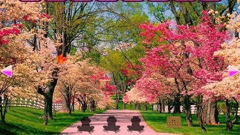 Escape Game Save The Labybird Walkthrough [WowEscape]