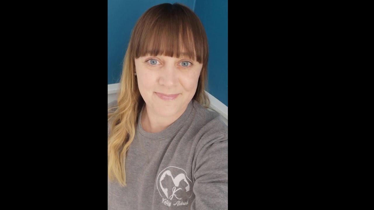 Treasure Hunt game for Dogs