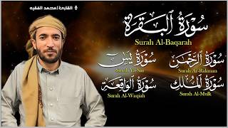 رقية للبيت سورة البقرة، يس، الواقعة، الرحمن، الملك - شفاء وبركة وحفظ من الشيطان Quran Ruqyah