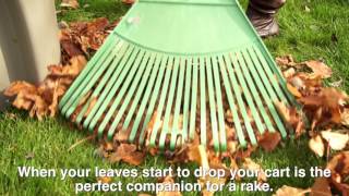 Curb It - Using Your Compost Cart