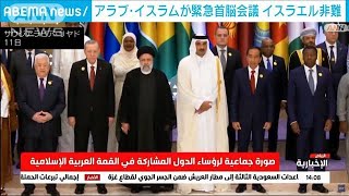 アラブ・イスラム諸国が緊急首脳会議 「戦争犯罪」とイスラエル非難(2023年11月12日)