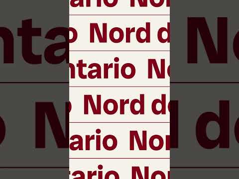 Poussière dans le ciel de Falconbridge