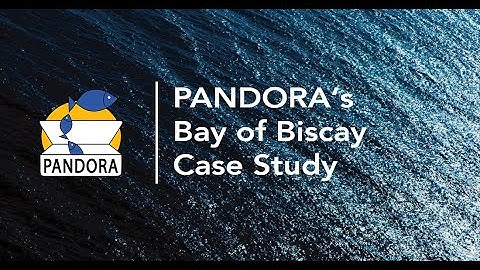 PANDORA Video – Bay of Biscay Case Study