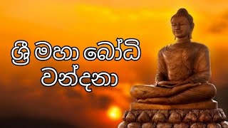 Sri Maha Bodhi Wandana | BODHI POOJA