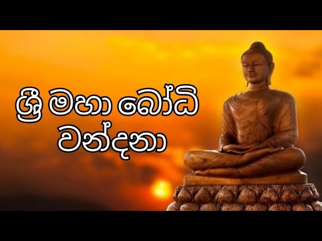 Sri Maha Bodhi Wandana | BODHI POOJA class=