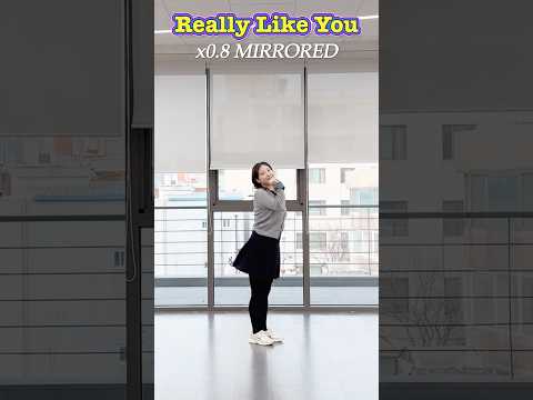 Really Like You Mirrored #베몬 #reallylikeyou #babymonster #은아로운댄스생활 #dancechallenge #viral #shorts