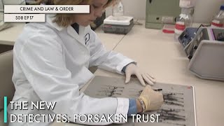 The New Detectives: Forsaken Trust