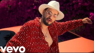 Soolking Ft. L'Algerino, Nej, Naps &amp; Aya Nakamura - Mon Bébé (Clip Video)