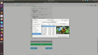 SLID 1687 images and uploads form bugs