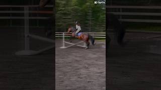 bridleless jumping with lido bridless alaska horse