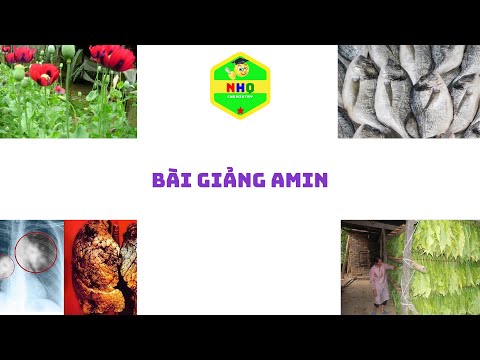 Video Bài giảng amin| Mới và đầy đủ nhất| Thầy Nguyễn Hồng... - youtube