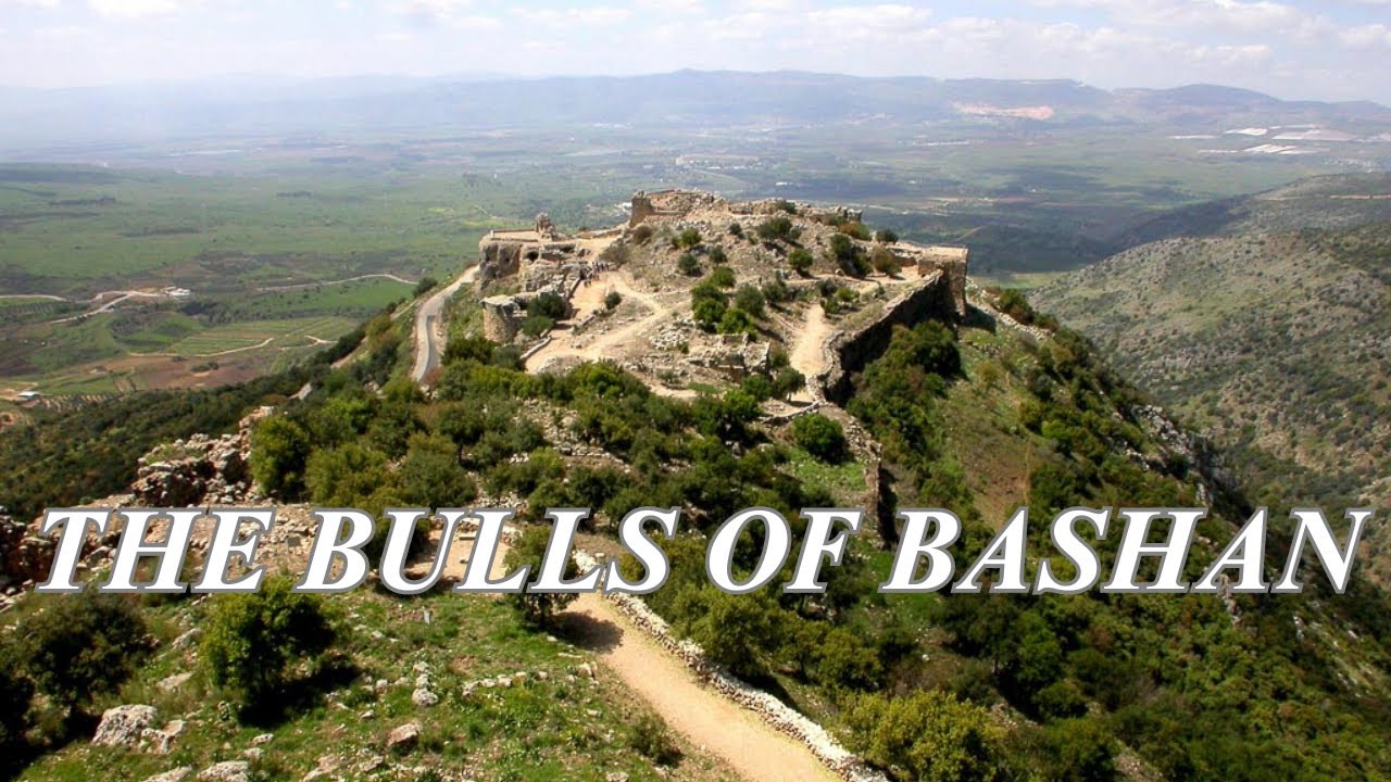 The Bulls of Bashan - JKV1611 - YouTube