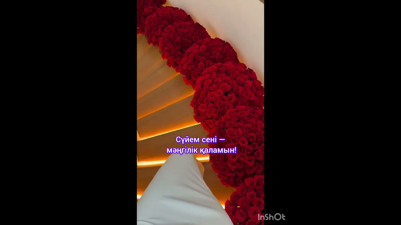 Әндер жинағы 