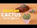 トゲトゲだけど痛くない！サボテン餅アイス