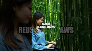 Creating a Sustainable Workspace as a Digital Nomad