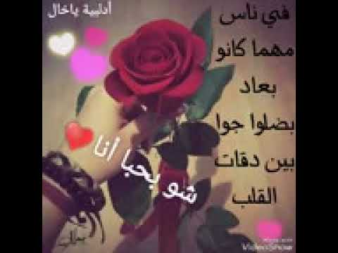 يا طير دخلك قلا حالات واتس اب عن الاخت البعيدة 