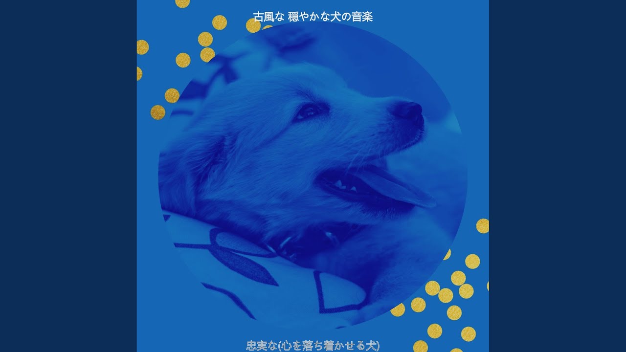 思い出 孤独な犬 Youtube 思い出 孤独な犬 Youtube