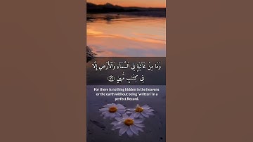 ارح سمعك 🎧💙 #القرآن_الكريم #سورة_النمل #اسلام_صبحي