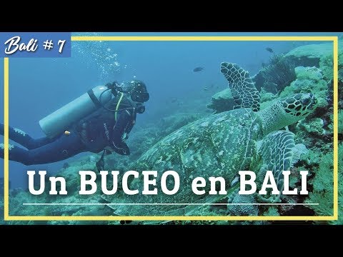 Video: Los mejores sitios de buceo en Bali, Indonesia