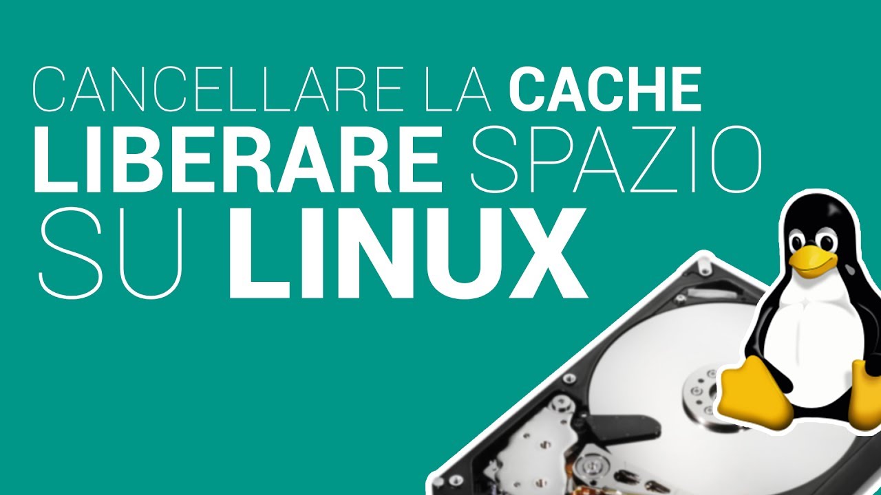 Update 3 Tools per pulire cache e liberare spazio su Linux!