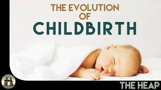The Evolution of Childbirth