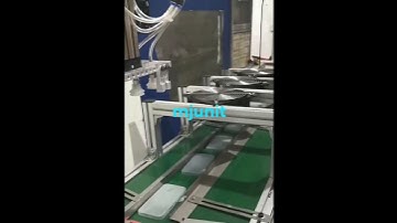 mjunit customized automatic XZ axis linear rail for up and down lifting production line, synchronous