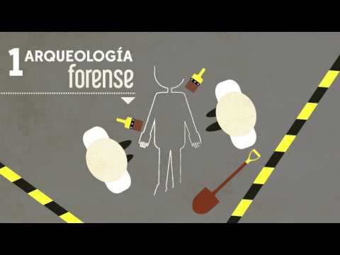 Archivo básico forense - Archivo básico forense