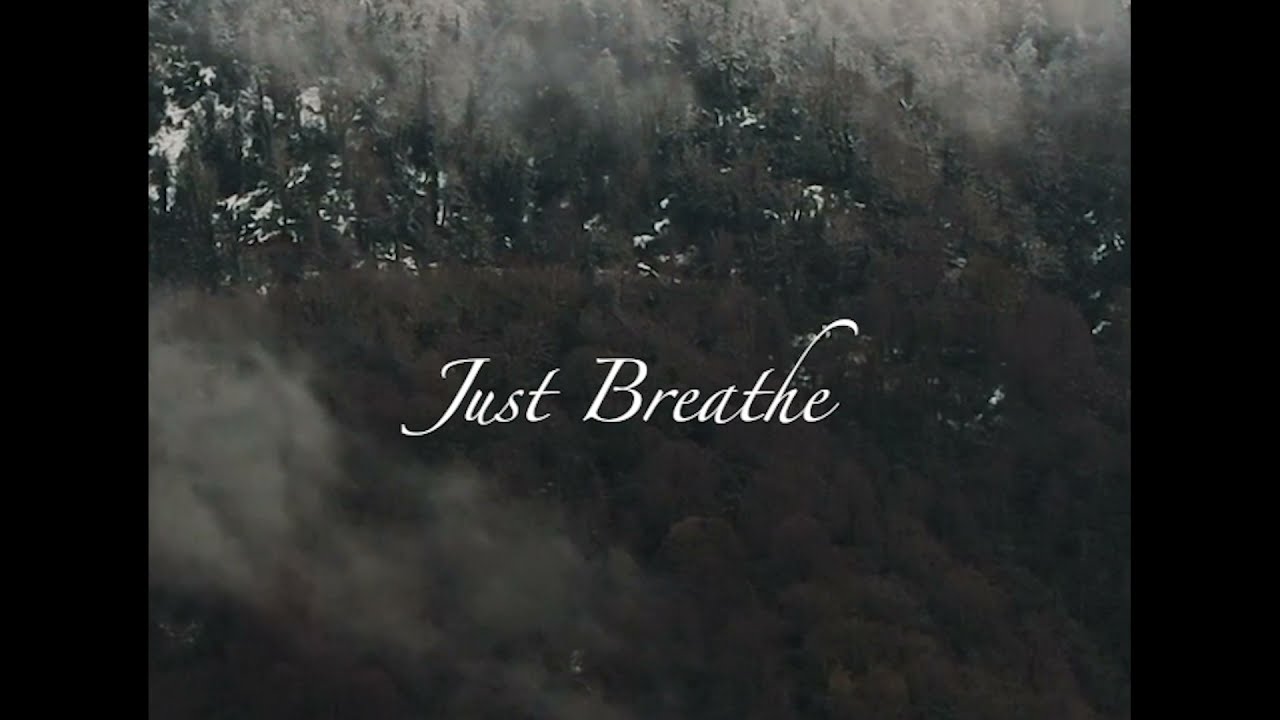 Relaxing Sleep Music • Deep Sleeping Music, Relaxing Music, Stress Relief, Meditation Music.(Flying)