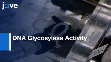 Steady-state, Pre-steady-state, & Single-turnover Kinetic Measurement