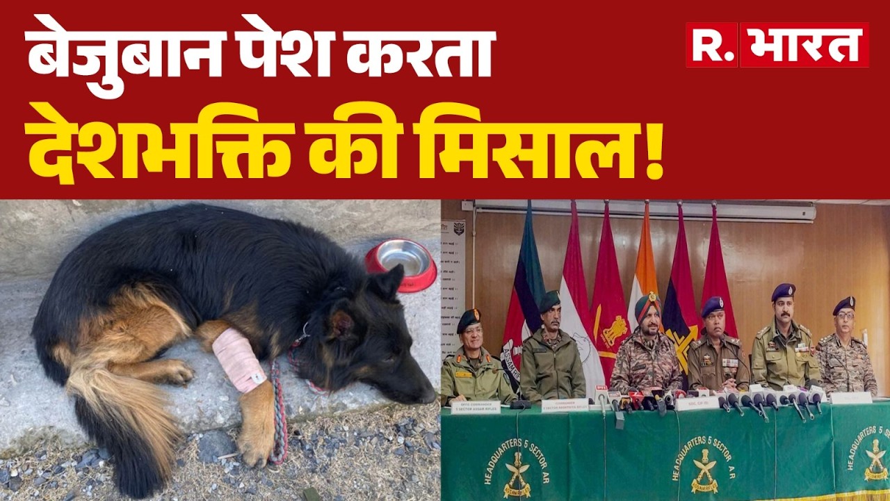 Indian Army : Indian Army के Dog Tyson ने आतंकियों  के पसीने छुड़ाए । R Bharat