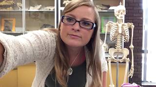 Dr. Mayberry talks Foot Bones