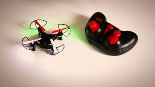 The Micro Drone