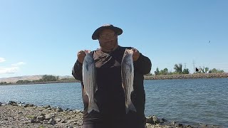 I've Been Wanting To Fish This Spot (O'Neill Forebay Fishing)