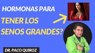 Desearía Tener Senos Mas Grandes? Senos Grandes Y Hormonas Bioidenticas