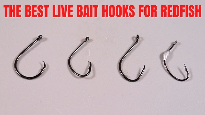 Best Inshore Fishing Hooks For Shrimp, Live Bait, And Cut Bait