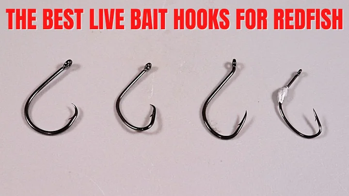The Best Live Bait Hooks For Catching Redfish